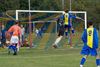 Picture of Filets Cage « Bleu & Jaune »