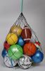 Picture of Net for 12 balls