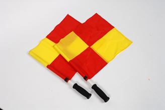 Image sur Fanion à damier seul