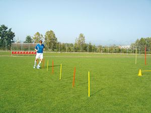 Picture of Piquet de slalom 55cm de long