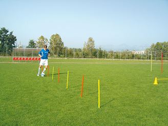 Picture of Piquet de slalom 55cm de long