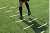 Picture of Echelle d'entraînemente Double vélocité 4m