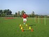 Picture of Kit d'entraînement Multi saut 4 x cônes + 2 x barres
