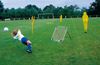 Picture of Tchouckball Pro large 120x120cm