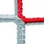 Afbeelding van  Doelnetten voor seniorendoelen clubkleuren ROOD & WIT