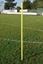 Picture of Lot de 5 x Piquets de slalom jaune de 172cm pointe acier