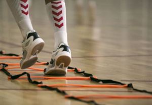 Picture of Agility and pace ladder 8 m