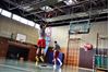 Picture of Basketball and Handball wall / D-Man