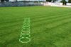 Picture of Octagonal agility lader