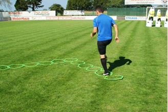 Picture of Octagonal agility lader