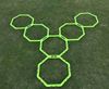 Picture of Octagonal agility lader