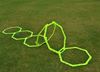 Picture of Octagonal agility lader