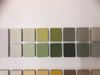 Afbeelding van Peinture TRIMETAL ROLLACRYL SUPERLATEX 10L COULEUR