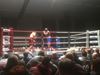 Picture of Ring de Boxe Club entrainement 30cm hauteur 6x6m