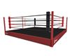 Picture of Ring de Boxe Club entrainement 30cm hauteur 6x6m