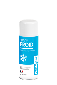Image de Bombe de froid 400 ml