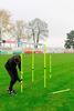 Picture of Slalom poles Set of 5