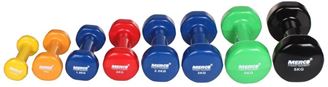 Picture of PAIRE D'HALTÈRES DE MUSCULATION VINYL - 2X3KG