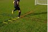 Picture of Set of 4 agility ladders of 2 m