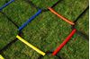 Picture of Set of 4 agility ladders of 2 m