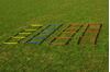 Picture of Set of 4 agility ladders of 2 m