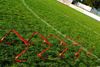 Picture of Set of 5 soft hurdles