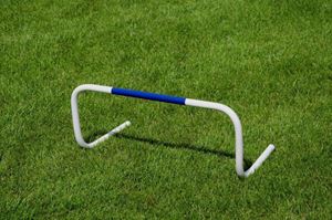 Afbeelding van  Set van 5 x vaste heggen 15cm