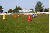 Picture of Numbered cone necks