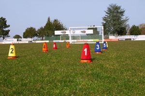 Picture of Numbered cone necks