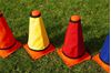 Picture of Numbered cone necks