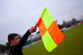 Picture of Linesman flags - set of 2