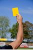 Picture of Pair of replacement cards for referee kit