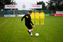 Afbeelding van Set van 3 PVC-dummies