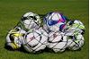 Picture of Net for 12 balls