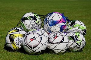 Picture of Net for 12 balls