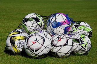Picture of Net for 12 balls