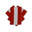 Picture of Brassard Bicolores ROUGE & BLANC