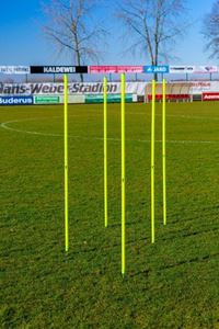 Afbeelding van Slalom inzet à l'unité