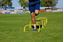 Picture of LOT DE 5 HAIES 30 CM AJUSTABLES