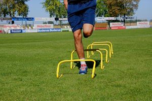 Picture of Set of 5 training hurdles