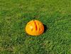 Picture of Dome base for slalom pole or hoop