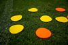 Picture of Set of 24 disc markers - Yellow and orange