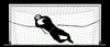 Picture of Goalkeeper stretchable training band