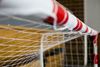 Picture of Shock-absorbing net for handball and beach handball 4 mm - White