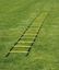 Afbeelding van Coördinatieladder
