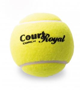 Image de 60 balles CR Coach