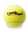 Afbeelding van 60 CR Coach tennisballen