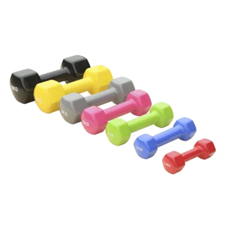 Paire d'haltères vinyle 1kg