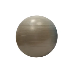 Gymball / Balle gymnique 55cm