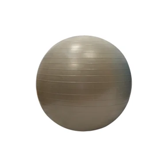 Gymball / Balle gymnique 55cm